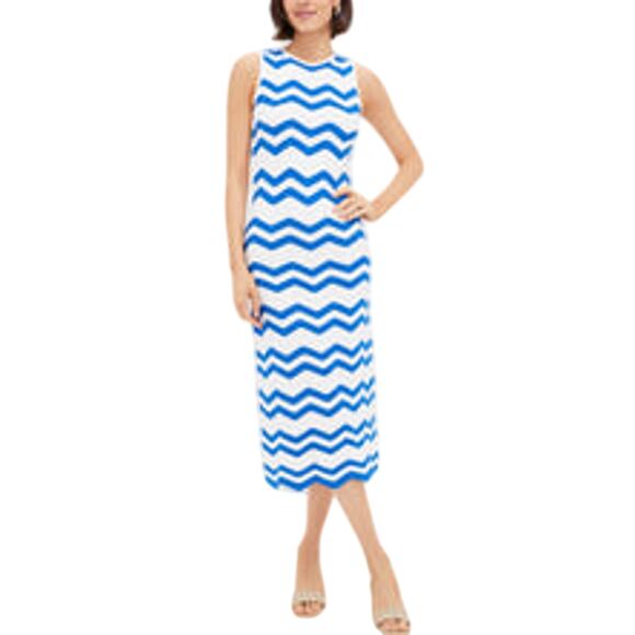 Hyacinth House Dresses & Skirts - Hyacinth House Zig-Zag Stripe Blue Cotton Mykonos Knit Maxi Dress Size S